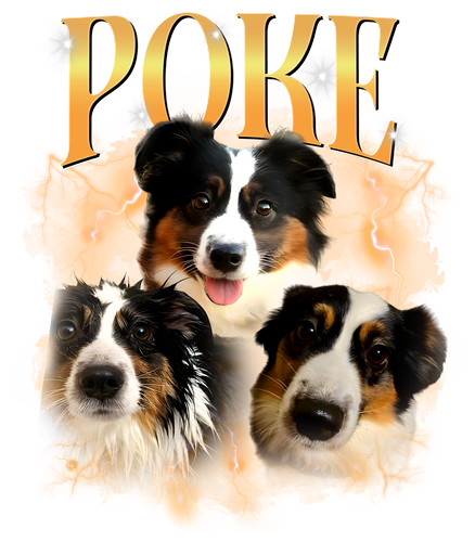 poke.png