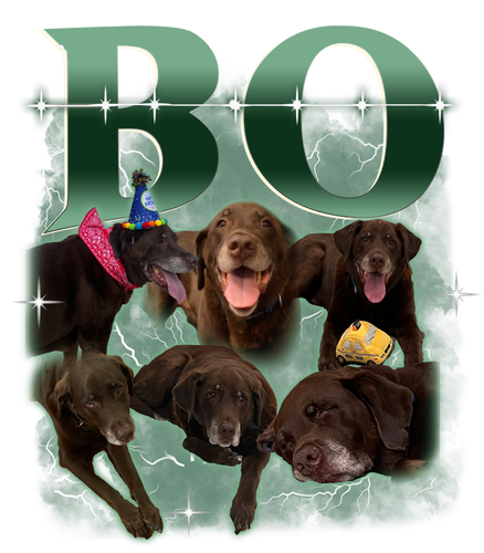 BO.png