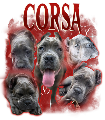 Corsa + Red.png