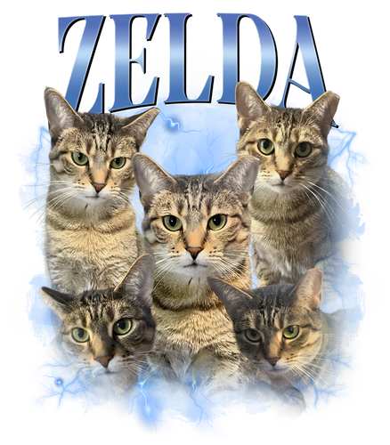zelda.png