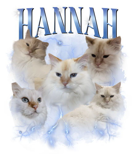 hannah.png