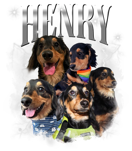 HENRY 2.png