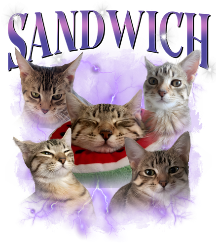 sandwich.png
