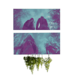 170083494880224750 (2).gif