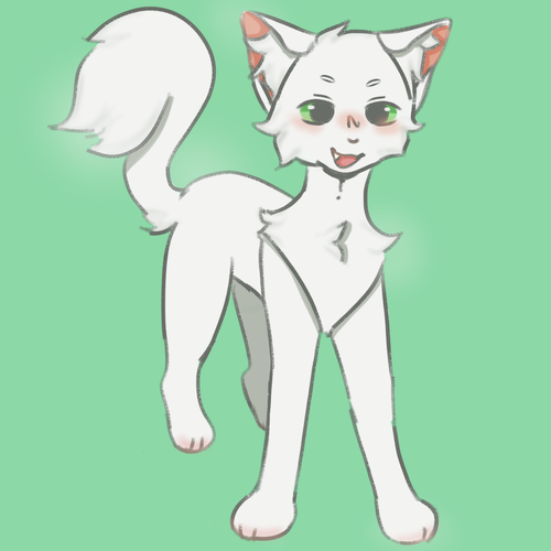 IMG 3360.png