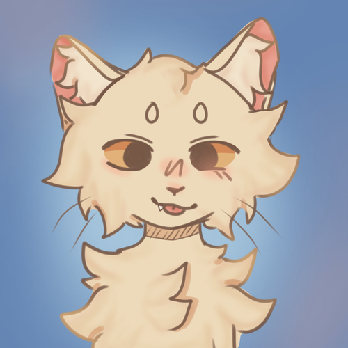 IMG 3367.png