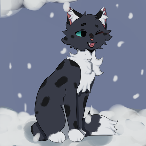 IMG 3366.png