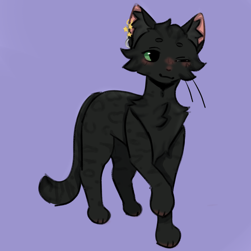 IMG 3364.png