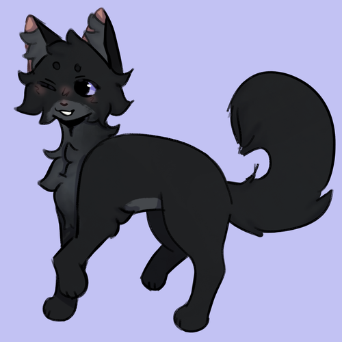 IMG 3362.png