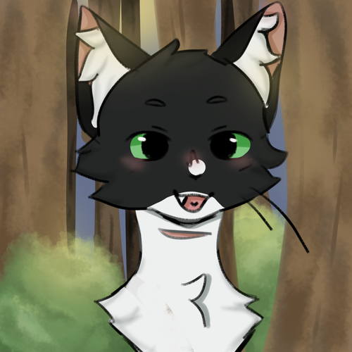IMG 3363.png