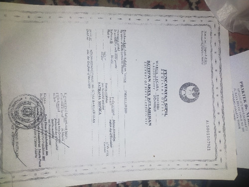 scaled c78477b5 55cb 43c0 82b8 0bdc32a223f43013643479844395780.jpg