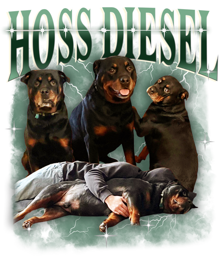 JnpSZEN.png