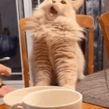 eww omg no 2.gif