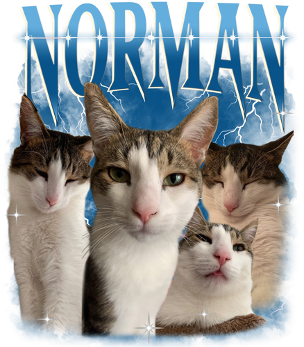 TieuPhiTieu 3088963220.png