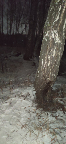 IMG 20231126 233701.jpg