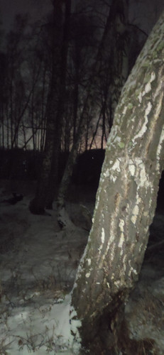 IMG 20231126 232003.jpg