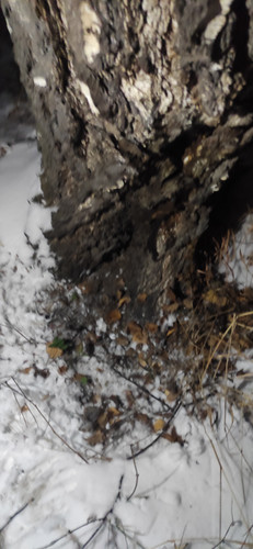IMG 20231126 231944.jpg