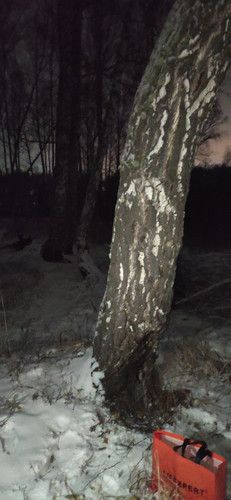 IMG 20231126 232005.jpg