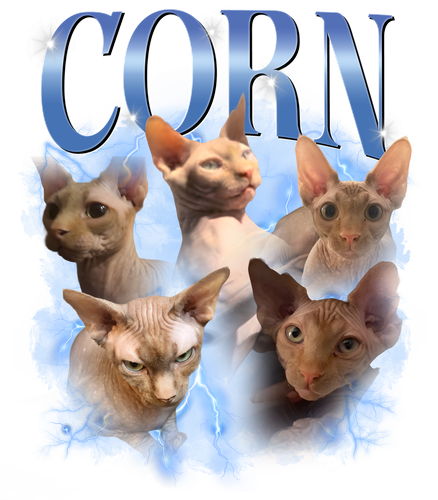corn.png