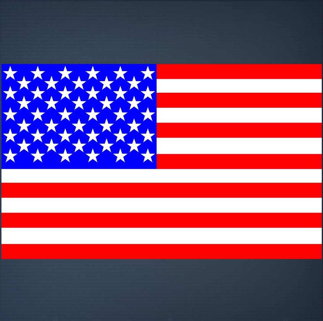 US Flag left side