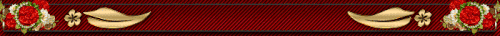 barrinha rapha.gif