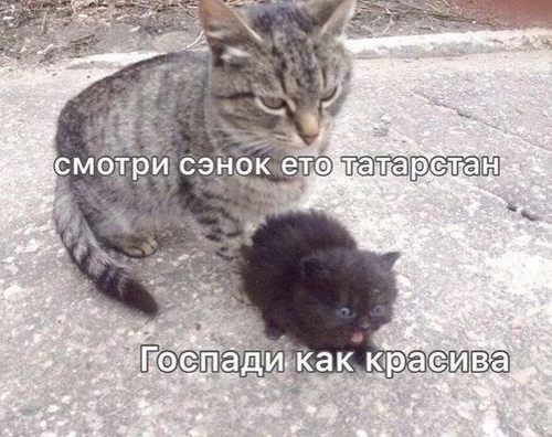 4553D547 6312 4C5A B77F 4B70DDBB4E73.png