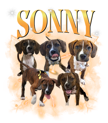 sonny.png