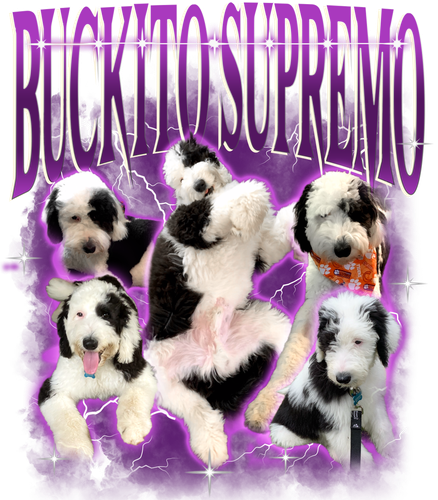 TieuPhiTieu 3079758049.png