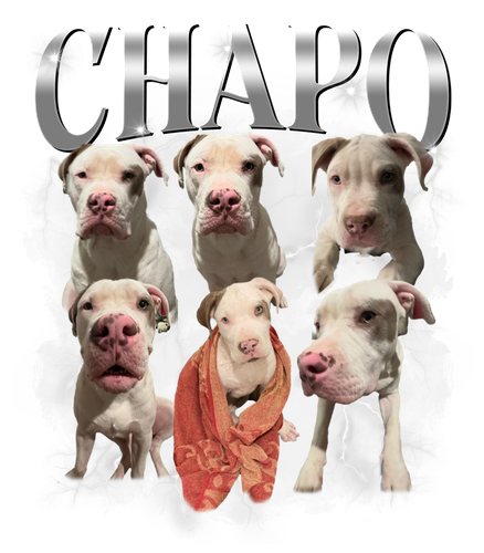 chapo.png