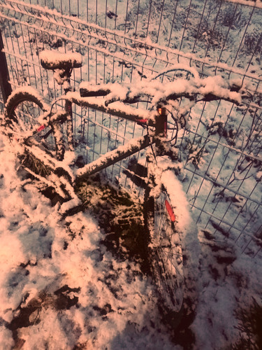 IMG 20231125 165406.jpg