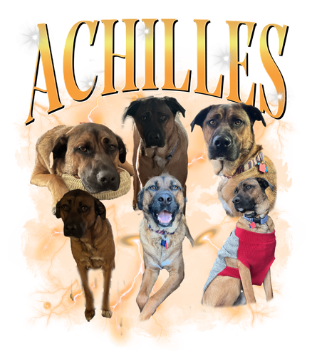 achilles.png