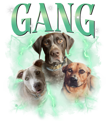gang.png