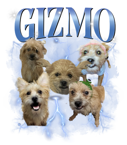 gizmo.png