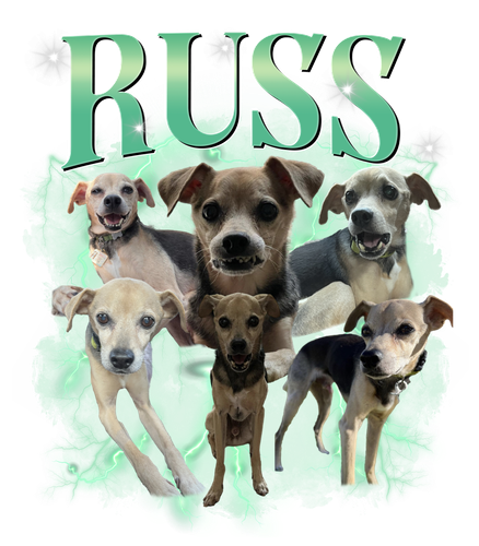 russ.png