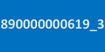 890000000619 3.jpg