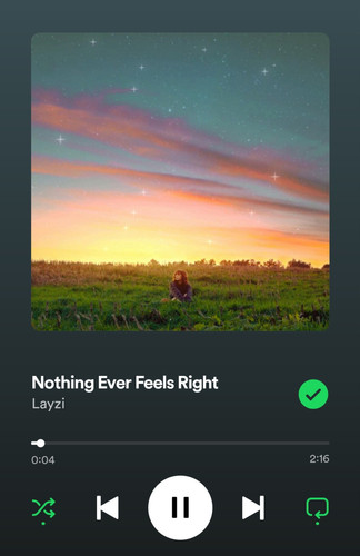 Screenshot 20231125 212801 Spotify.jpg