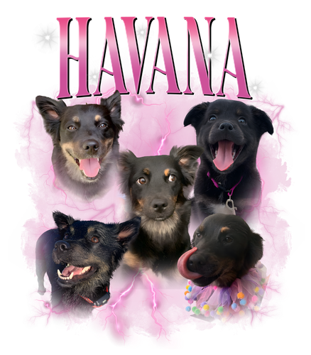 havana.png