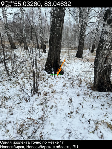 6..jpg