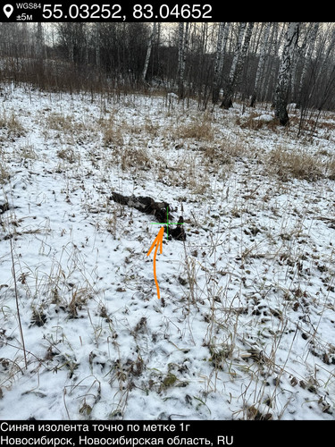 5..jpg