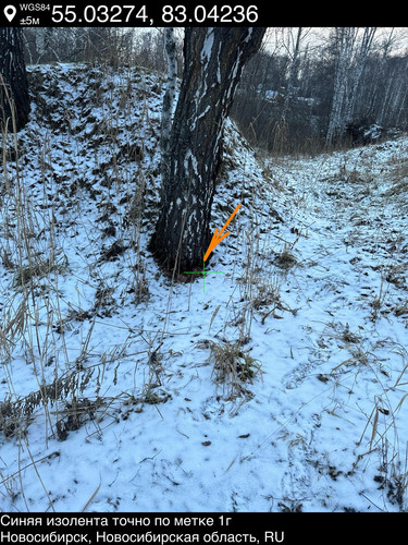 19..jpg