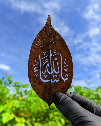 FB IMG 1699954338074.jpg