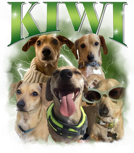 Kiwi.png