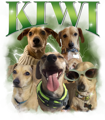 Kiwi.png