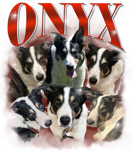 Onyx.png