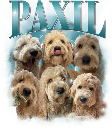 Paxil.png