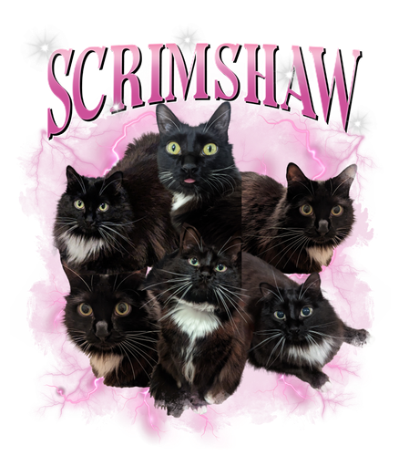 scrimshaw.png