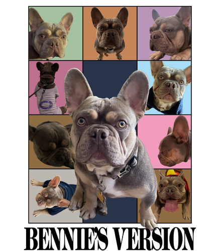 dog ds.png
