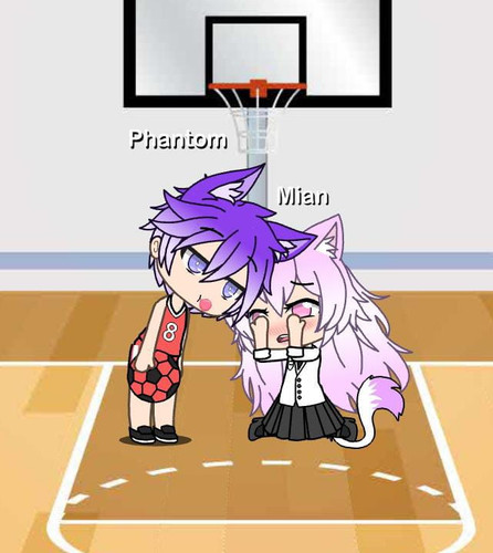 image.jpg