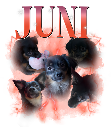 juni.png