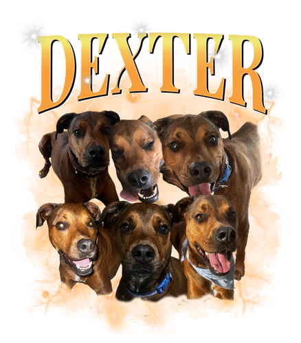 dexter.png